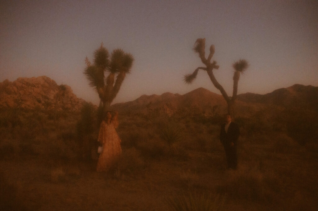 couple in front of of Joshua trees in Joshua Tree National Park